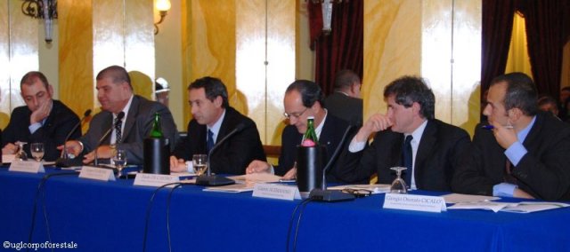 Roma - Convegno Incendi boschivi